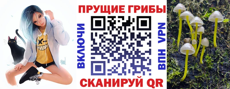 МЕГА ССЫЛКА  купить   Верхотурье  Галлюциногенные грибы ЛСД 
